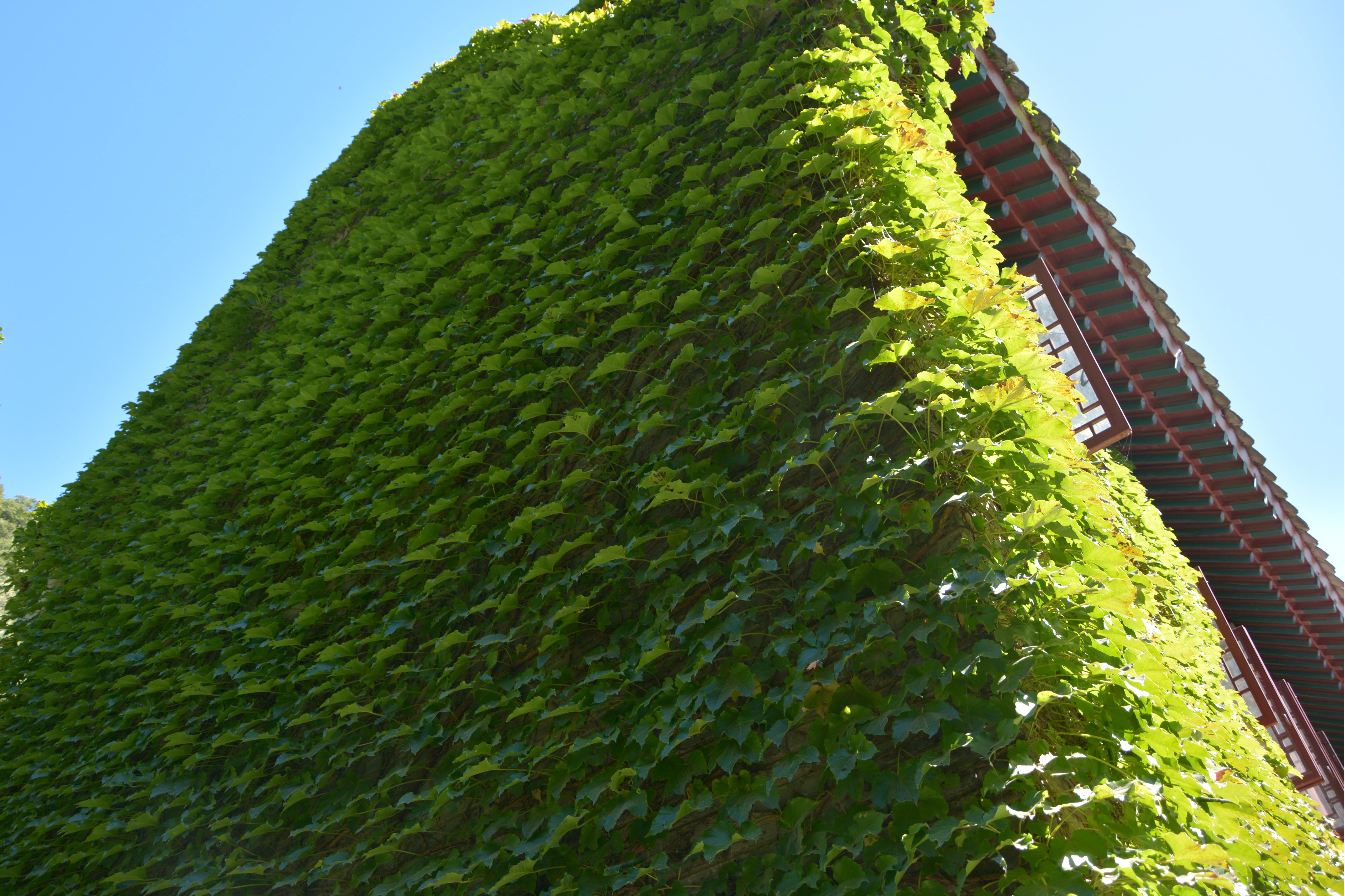 早知有盘山何必下江南路途中,游盘山必看天下盘山