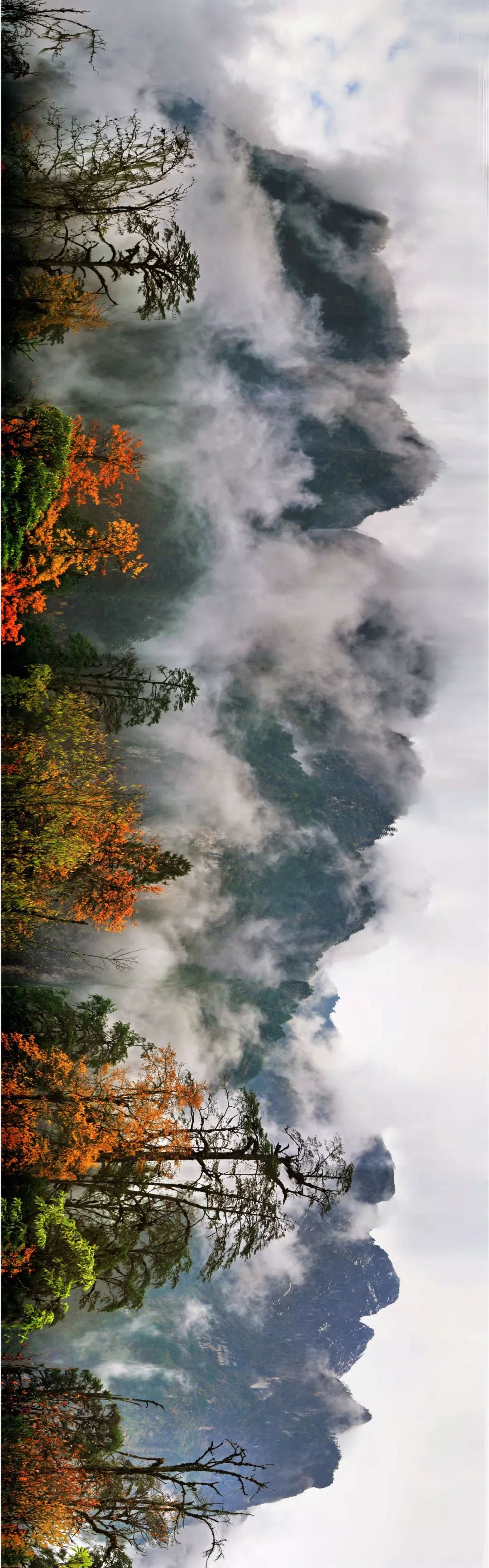 红叶秋天的一道独特风景,红叶美景惊艳了整个秋天