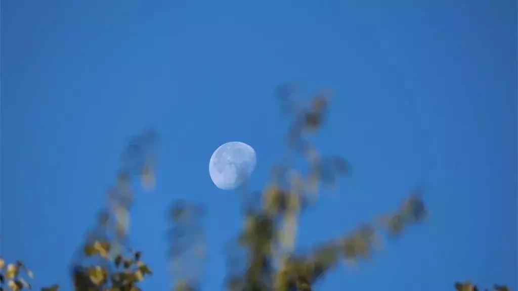 有哪些中秋和月亮的古诗词,中秋关于月亮古诗词