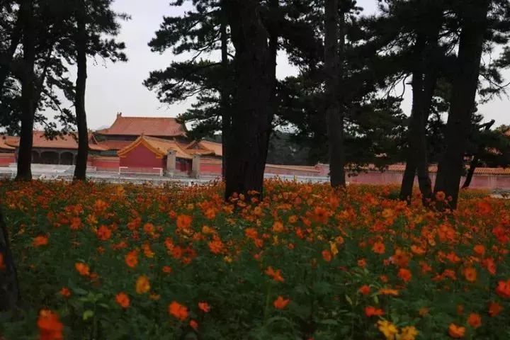 秋天适合旅游的地方易县,清西陵秋冬美景