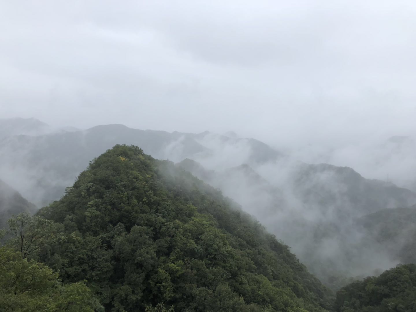 人间仙境洛阳栾川老君山,河南旅游景点推荐洛阳重渡沟