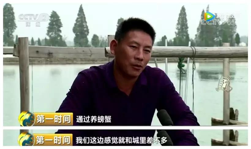 高淳固城湖大闸蟹什么时候吃,2019固城湖大闸蟹可以吃了吗