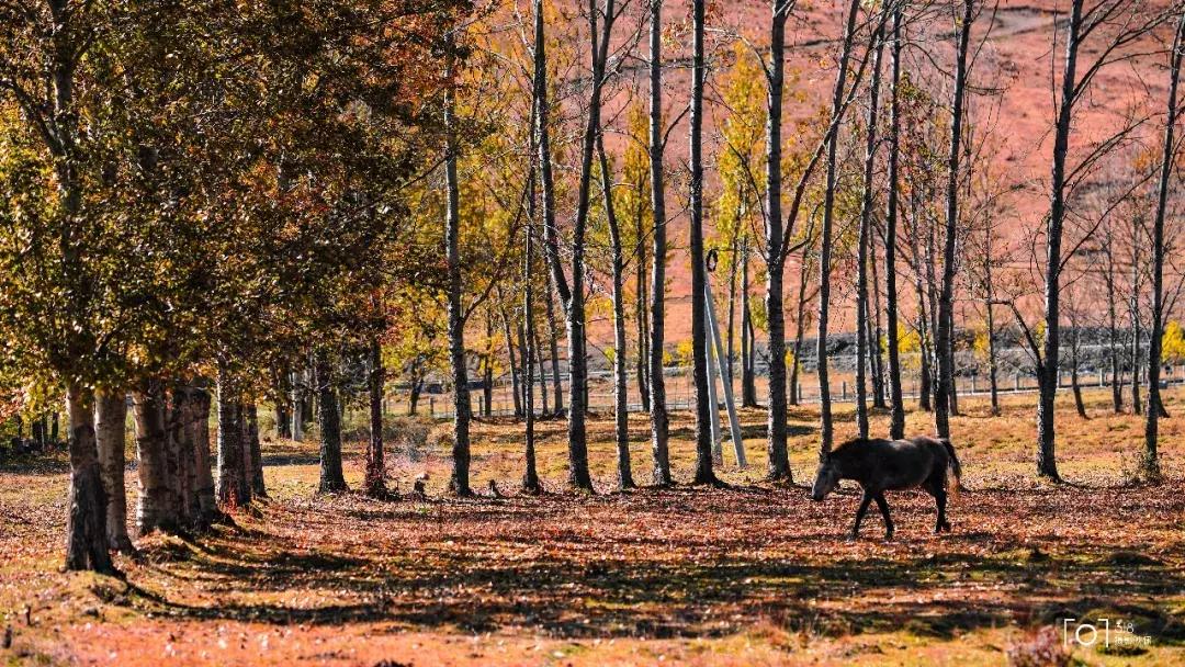 8条进藏绝美公路现在路况如何,一条绝美的进藏公路