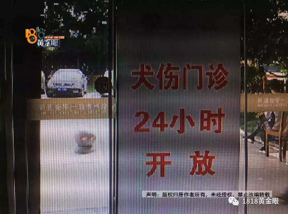 湖州6岁男童被狗咬伤,十几天后没了,确诊为狂犬病,听医生讲讲被狗咬伤后怎么处理