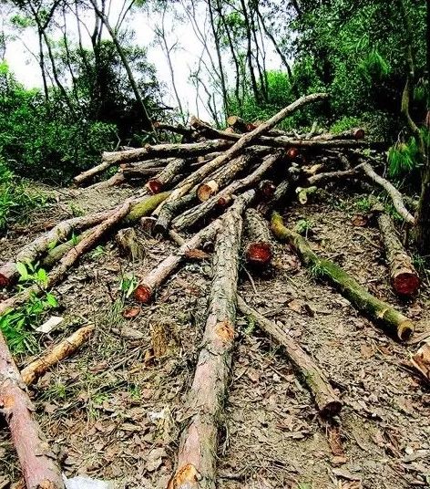 台风山竹最后影响,台风山竹发生的变化