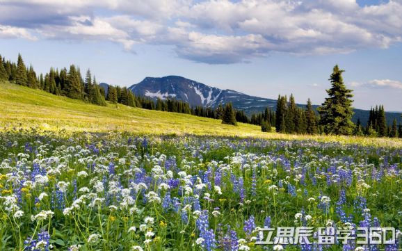 圣弗朗西斯泽维尔,圣弗朗西斯泽维尔大学读研怎么样