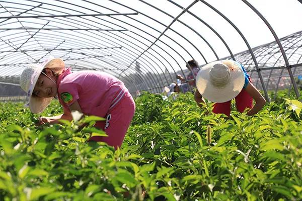 农秀才：农业农村部推荐100个休闲农业和乡村旅游精品景点线路