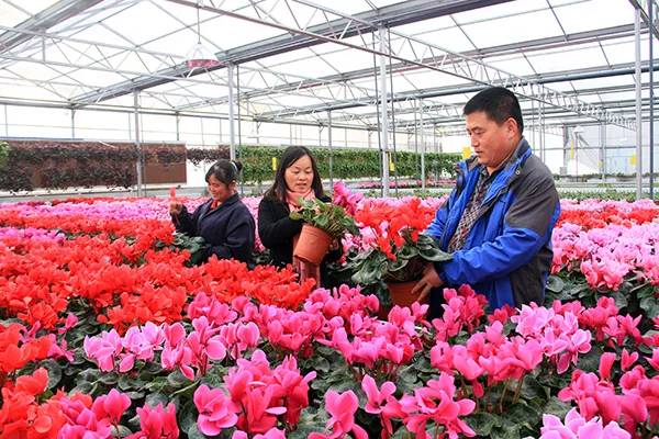 农秀才：农业农村部推荐100个休闲农业和乡村旅游精品景点线路