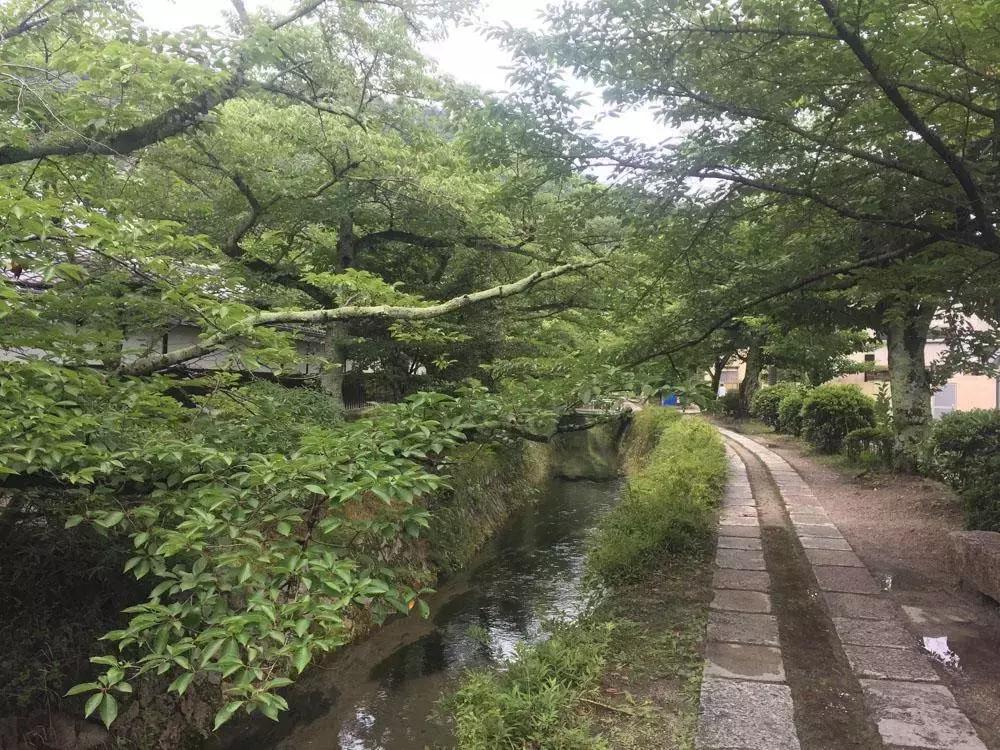 职业妈妈和全职妈妈,职业妈妈与全职妈妈