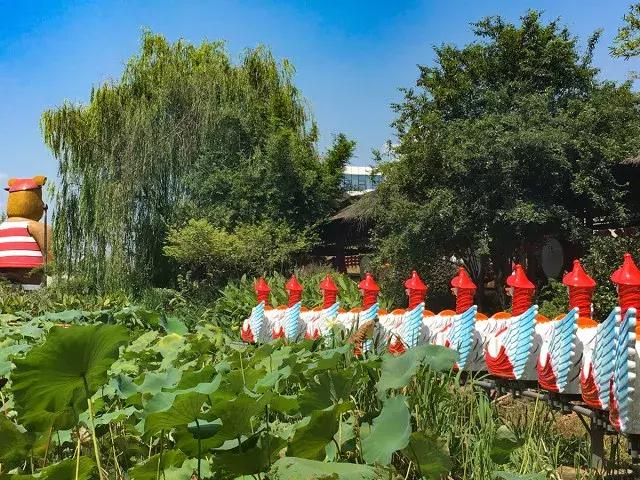 跟着萌宠过国庆，准备好迎接惊喜了吗？