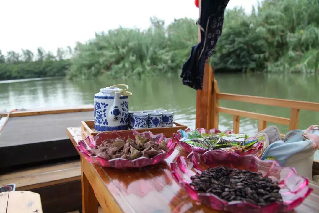 沙家浜芦苇荡游玩体验感想,沙家浜风起芦苇荡