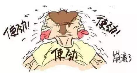 美国一家生好多孩子,美国一家生了十四个男孩