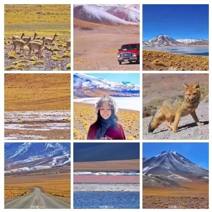 旅行必备的十大拍照好物,旅游最实用的拍照器材