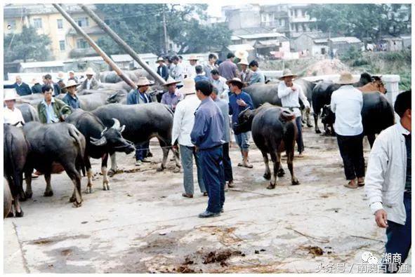 潮汕以前有多发达,潮汕最大的市场在哪