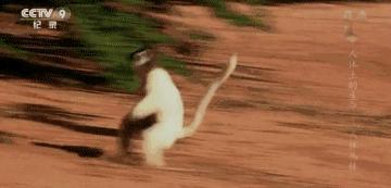 你身体里住着几个人格,你身体里住着谁