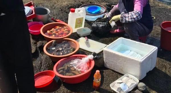 济州岛一年往返12次,到济州岛旅行行程