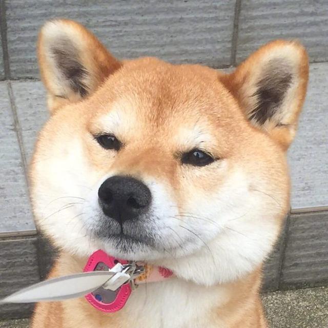 早安坚持励志正能量的句子朋友圈,晚上加班发朋友圈励志的精美句子