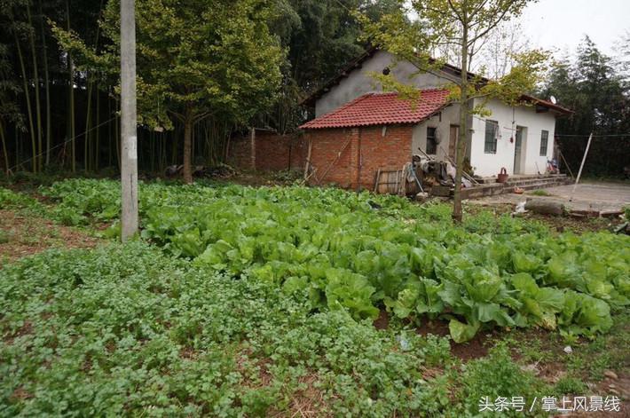 关公父子是怎么遇害的,关公败走麦城如何被杀