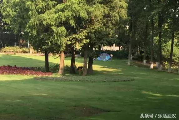 武汉高逼格婚礼,武汉婚礼殿堂