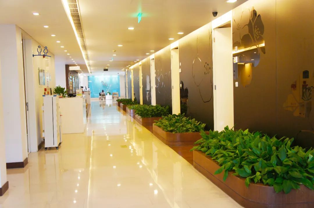 图说｜高“绿”预警！揭秘和睦家启望中心的8个绿色“心机”