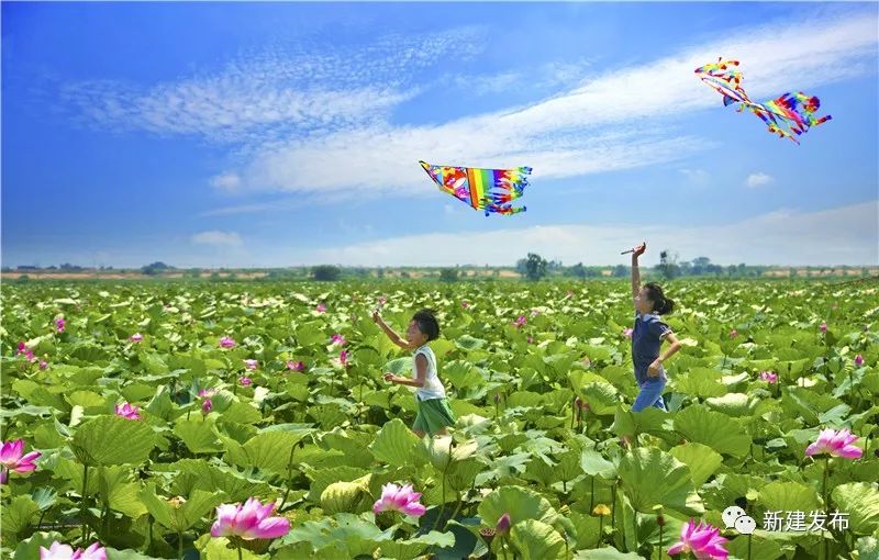 南昌市撤乡设镇新闻,南昌县改区最新进展