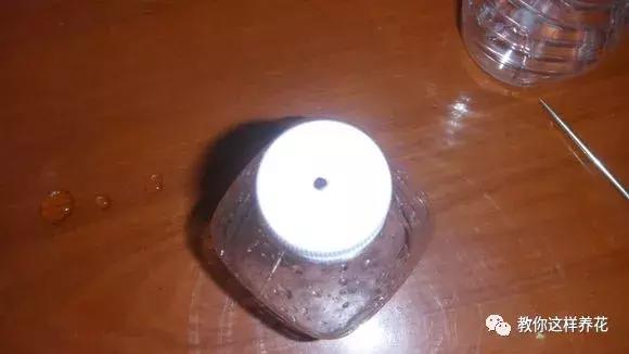 塑料瓶怎么剪可以种花,怎样剪矿泉水瓶种花