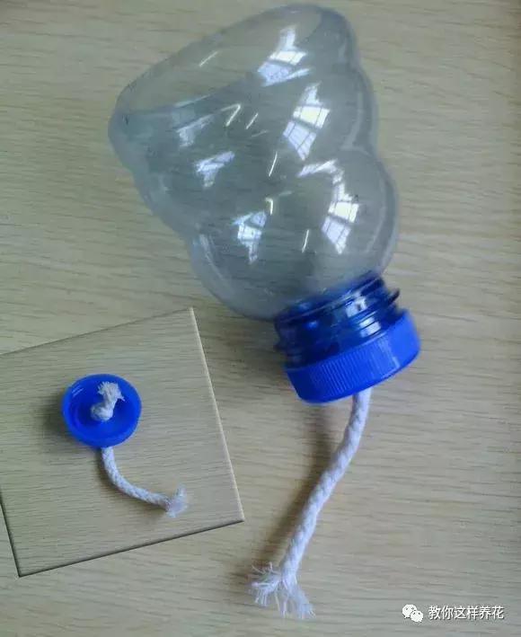 塑料瓶怎么剪可以种花,怎样剪矿泉水瓶种花