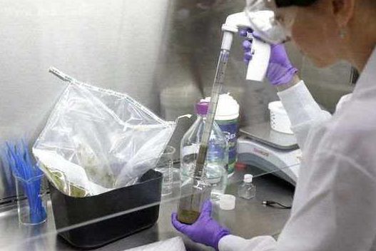 「药师说药」粪便真能治食物中毒和腹泻!但捐屎比捐血还难~