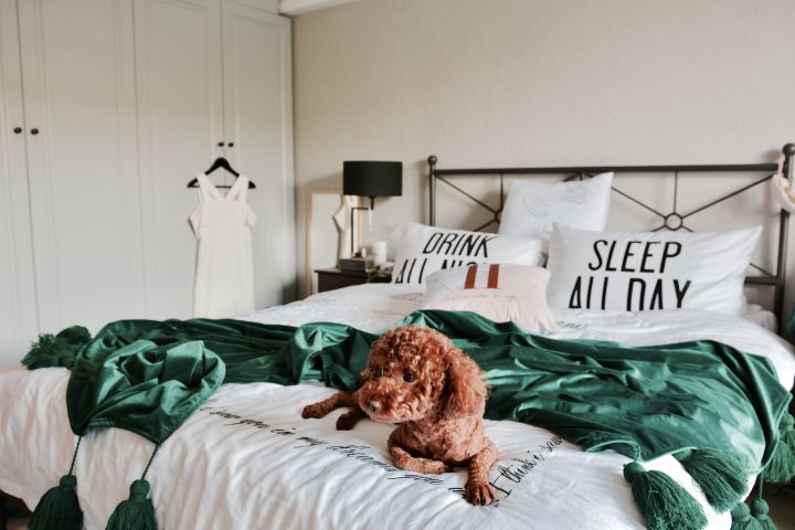 装修风云排名前十名,装修床避坑攻略