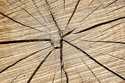 木结构屋顶加固处理,木结构开裂加固方法