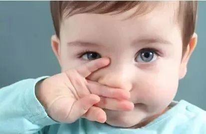 燕窝科普,科普燕窝