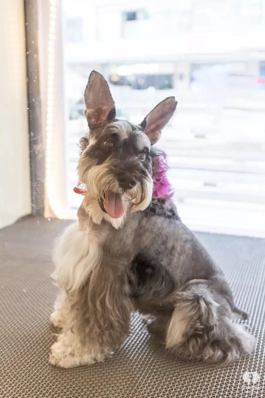 绮捐嚧鐢熸椿閭婚噷涓績,婊ㄦ睙閭婚噷涓績