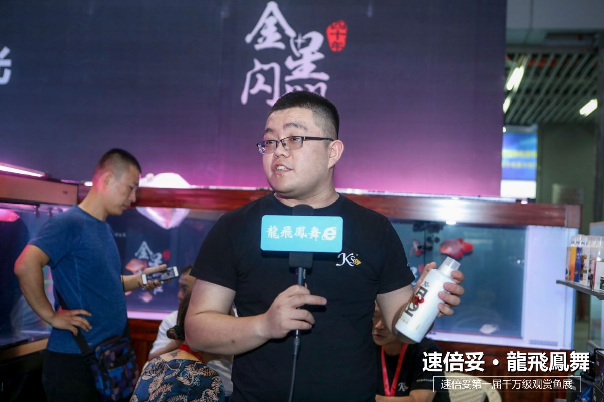 十大顶级巨型观赏鱼视频播放,顶级观赏鱼高清全屏视频