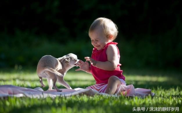 想要宝宝聪明这个事情一定不要做,想要宝宝聪明吃什么