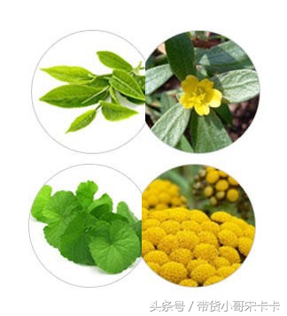 妆感自然适合油皮的平价气垫,妆感持久的气垫