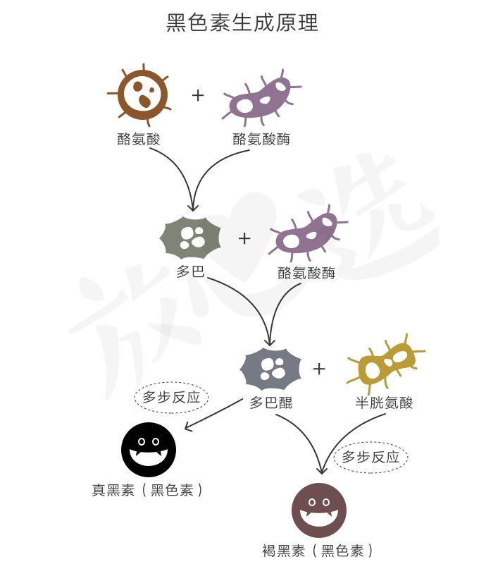 pola美白丸是智商税吗,pola美白丸成分不合格