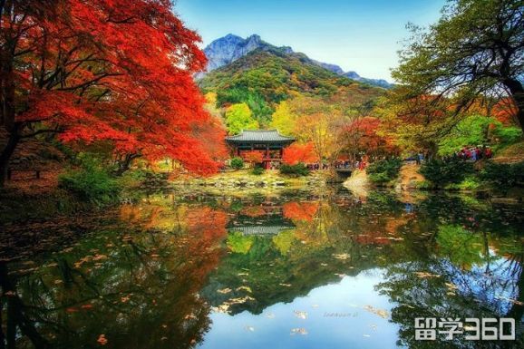 2022年韩国留学必备清单,2020年去韩国留学带什么东西