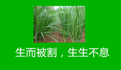 怪了！增发至1000亿的火牛视频说自己不是资金盘，你信吗？
