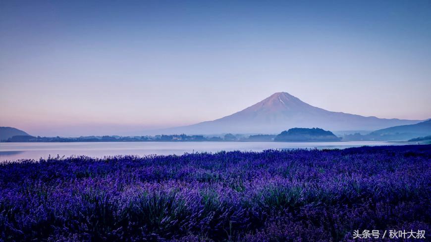 离职后如何退出部门群,离职员工退出工作群的通知
