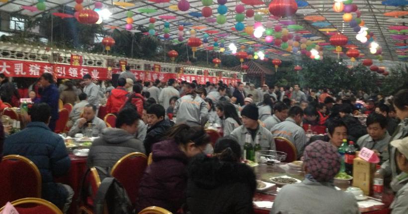 饲料厂管理上存在的哪些问题,饲料厂生产岗位操作规范