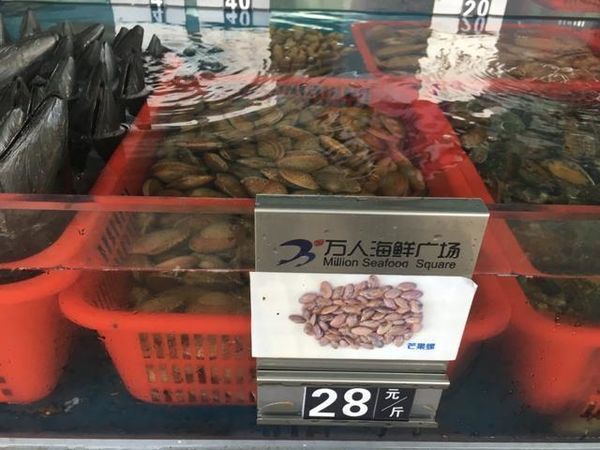 海口特色美食游玩攻略,玩转海口经典美景加美食攻略