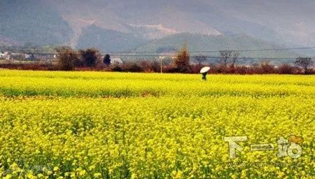 福州永泰天然氧吧,永泰云顶天然氧吧