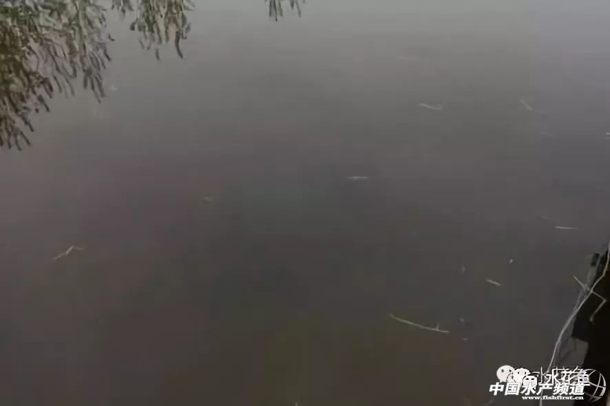 如何辨别好水,怎么分辨好水和坏水