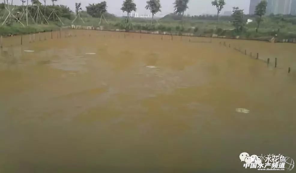 如何辨别好水,怎么分辨好水和坏水