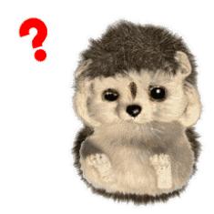 新雨自然学校·第一期Day1：快来建造属于自己的生态花园吧！