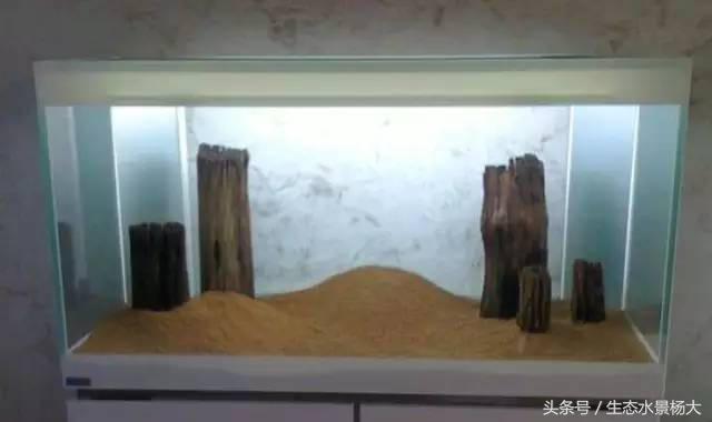 鱼缸加温有几种方法,鱼缸正确加温方法