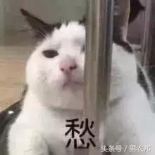 刚入职年轻人怎么穿,初入职场要穿得正式吗