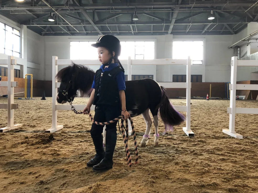 「竞赛通知」富国高银杯2018 FFE PONY挑战赛