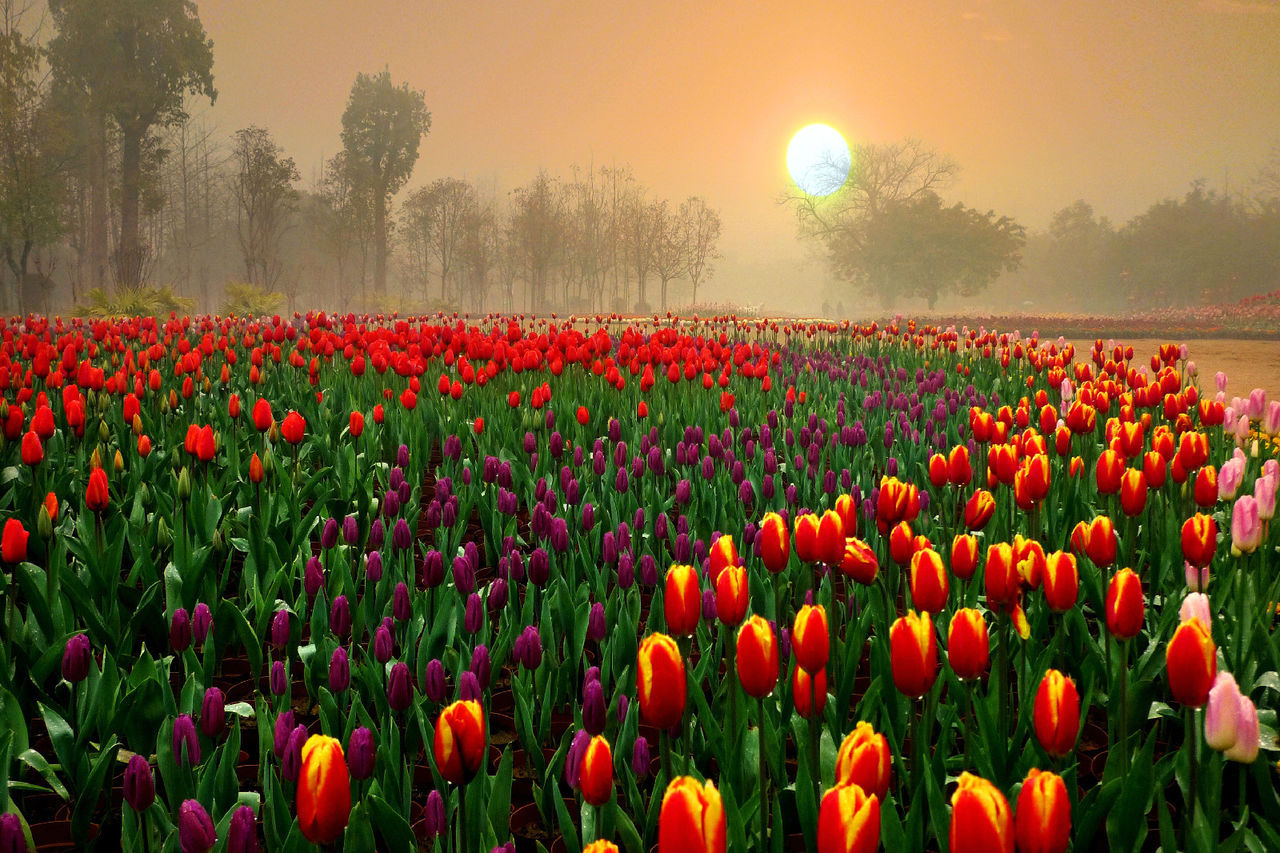 国庆桂林游玩攻略带孩子,桂林国庆旅游地点推荐