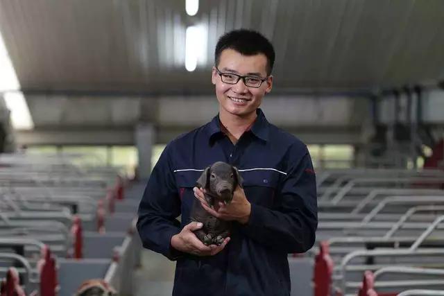 哺乳仔猪先呕吐后拉稀什么原因,产后十天仔猪拉稀呕吐不吃奶